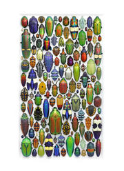 24x30 Mosaic Alternate '18 edit - Chris Marley.jpg